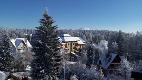 Apartment On Zlatibor