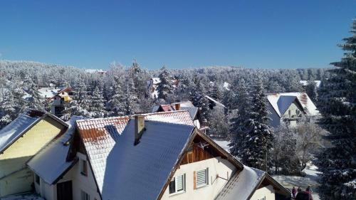 Apartment On Zlatibor