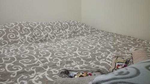 Apartman "lav"