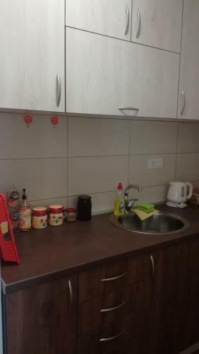 Apartman "lav"