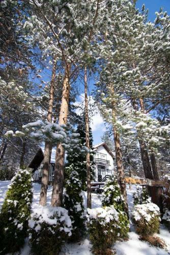 Apartments Breza
