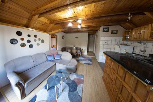 Apartmani Vasilije