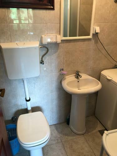 Apartment Zova