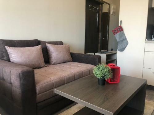 Apartamentos Milmari Resort Premier 10