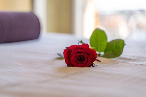 Apartamentos Vila Narcis Zlatibor