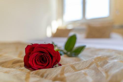 Apartamentos Vila Narcis Zlatibor