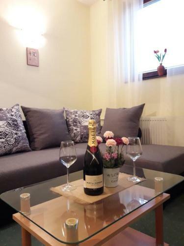 Apartman 410 Vila Nikola