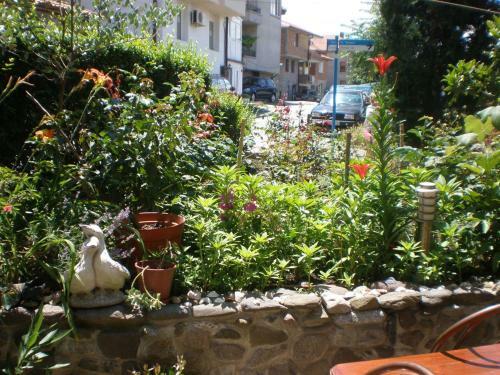 Family Hotel Emilia