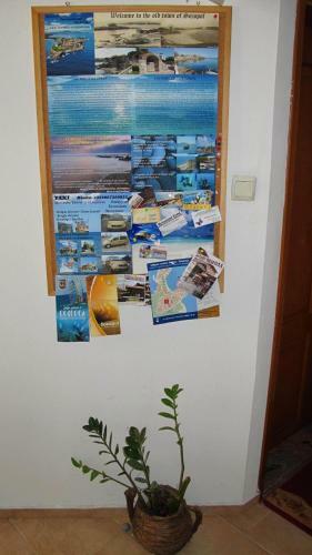 Family Hotel Emilia