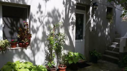 Hostal Guest House Old Sozopol