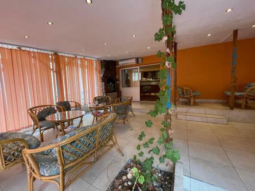 Hostal Orange House