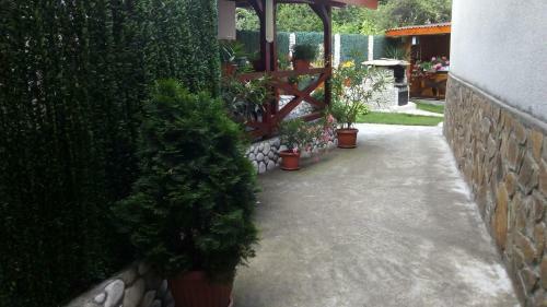 Hostal Albena Guest Rooms