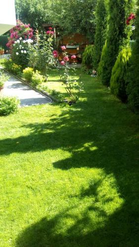 Hostal Albena Guest Rooms
