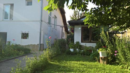 Hostal Guest House Minkovi