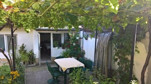 Hostal Guest House Minkovi