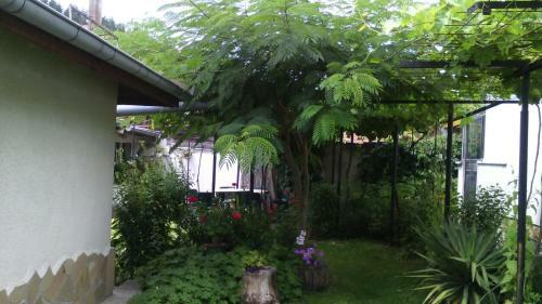Hostal Guest House Minkovi