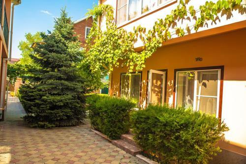 Hostal Elis Guesthouse