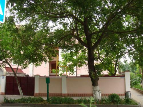 Hostal Guest House Flamingo