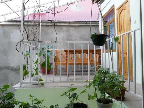 Hostal Lidiya Guest House