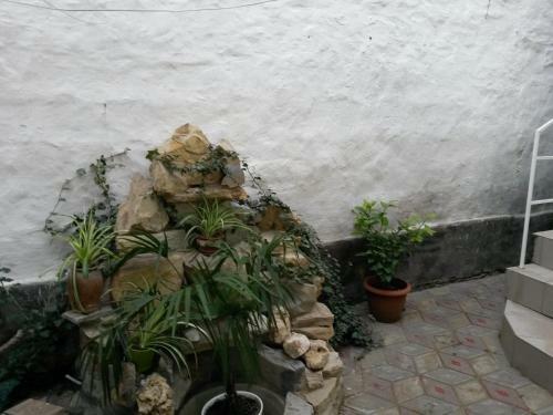 Hostal Lidiya Guest House