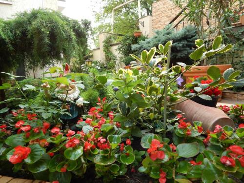 Hostal House Loris