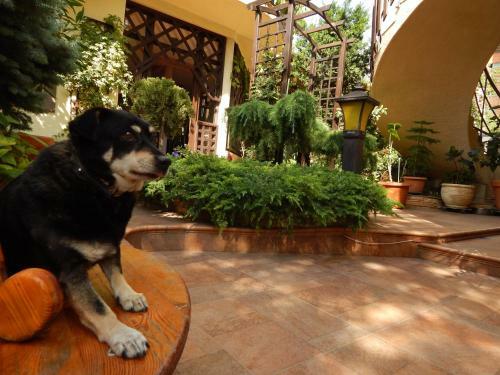 Hostal House Loris