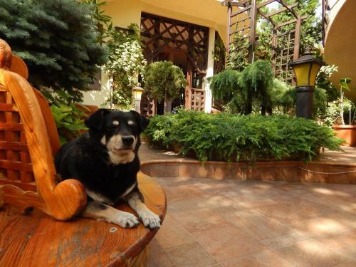 Hostal House Loris