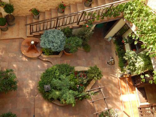 Hostal House Loris