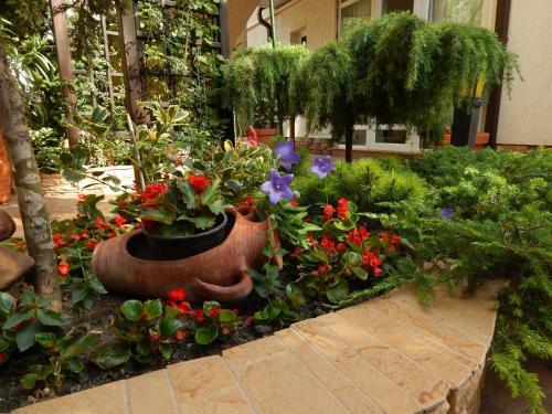 Hostal House Loris