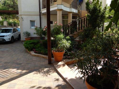 Hostal House Loris