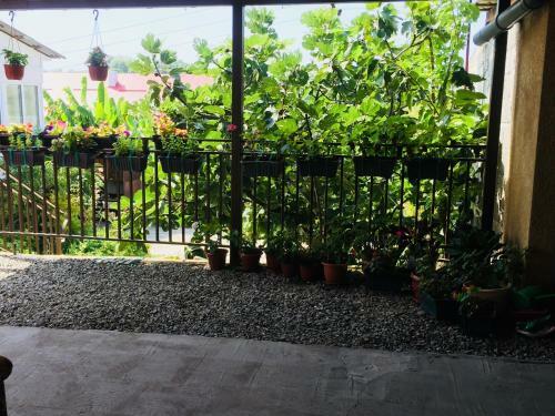Hostal Guest House Ellina
