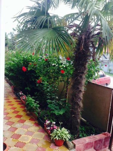 Hostal Guest House Ellina