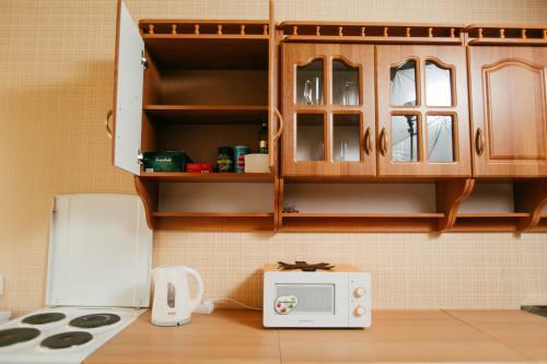 Apartment Gorkogo 20 Apt45