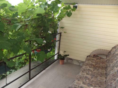 Hostal Guest House Solnyshko