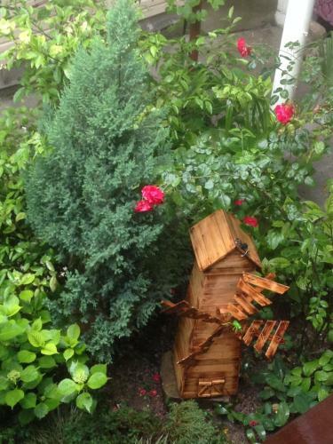 Hostal Guest House Solnyshko