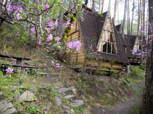 Hotel Altai Star
