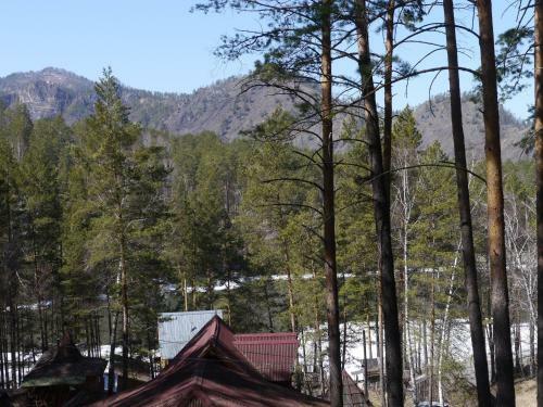 Hotel Altai Star