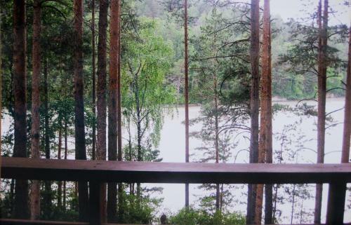 Hotel Altai Star