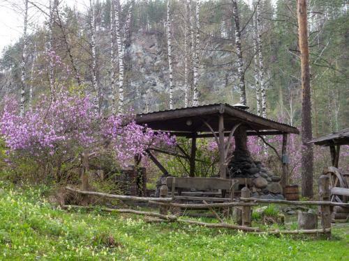 Hotel Altai Star