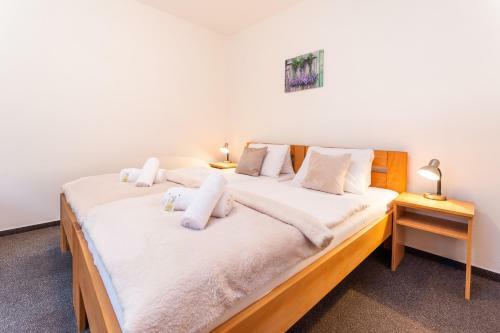 Hotel&wellness Kni?ec� Rybn�k