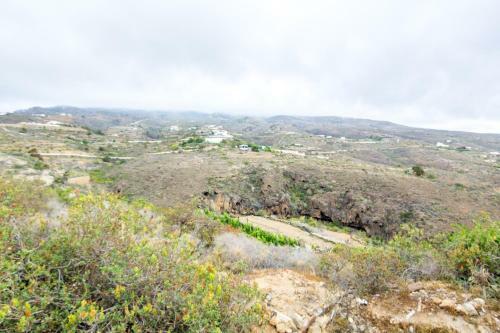 Live Arico El Cortijo