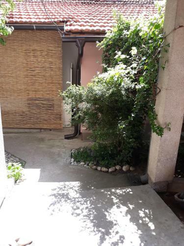 Apartamento Guest House Mickey