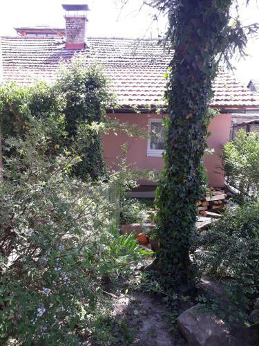 Apartamento Guest House Mickey