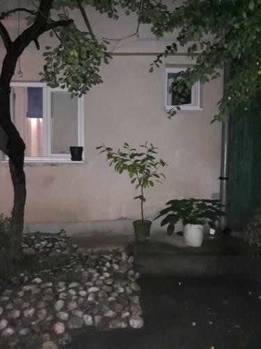 Apartamento Guest House Mickey