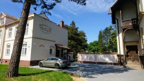 Hotel Antler