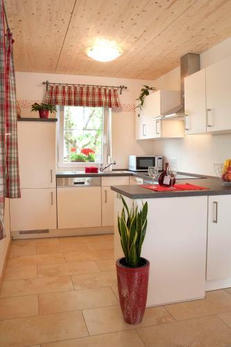 Apartamento Ferienhof G�gelein