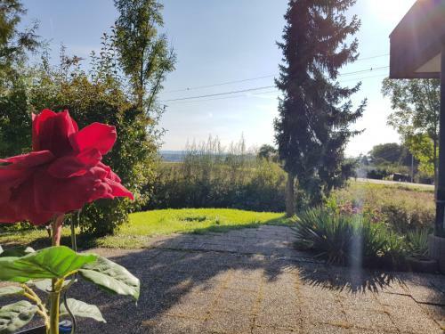 Hostal Hotel Rosenbach