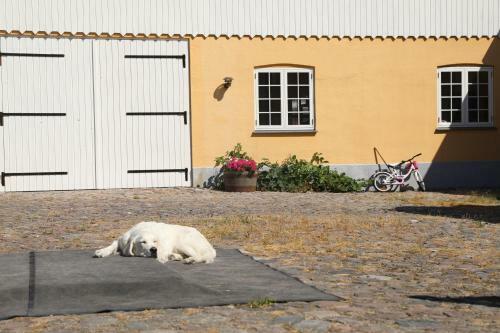 Bed & Breakfast �marksg�rd Guesthouse