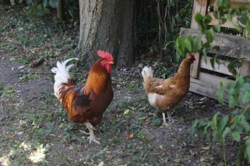 Bed & Breakfast �marksg�rd Guesthouse