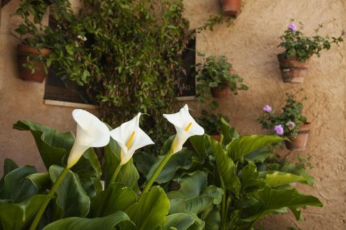 Agroturismo Casa Rural El Simarro